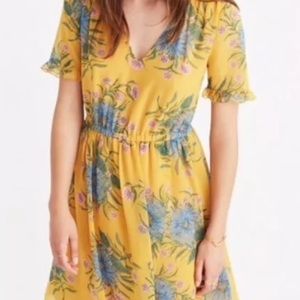 Madewell Sweetgrass Ruffle-Sleeve Dress